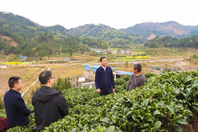 调研现场。