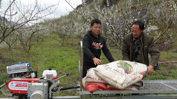 思南：單軌運輸車助力果園節本增效。