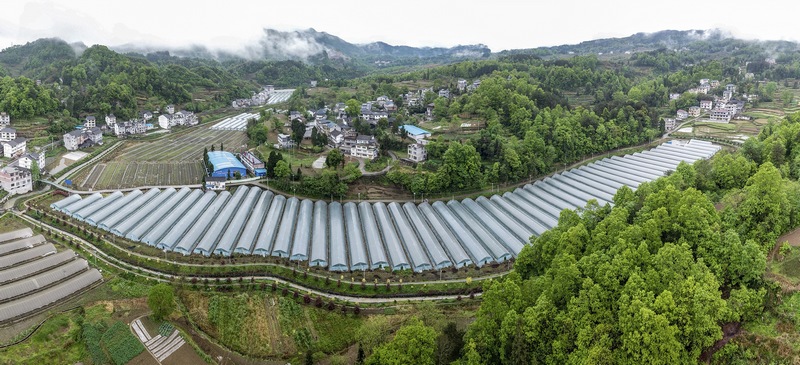 南克寨全景。