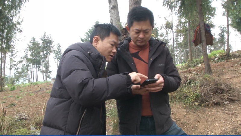 手机端将巡查结果实时上报。