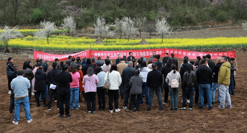 (3)2024年3月18日，圖為清鎮市召開2024年大豆玉米帶狀復合種植項目推進現場會。（任芳靚 攝）.jpg