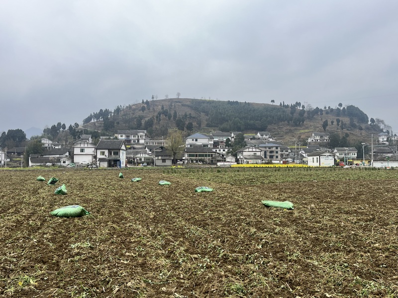 农户已经运送肥料到地里。