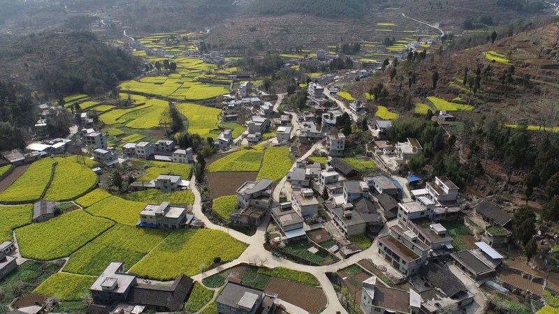 耳当溪村800亩油菜花竞相绽放.jpg