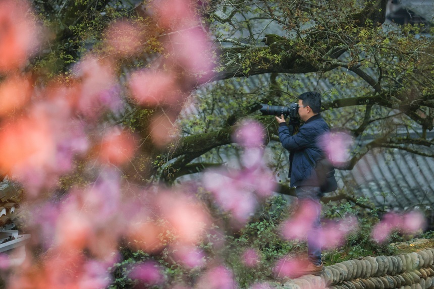 3月17日，一名摄影师在贵州省榕江县栽麻镇大利侗寨拍摄。