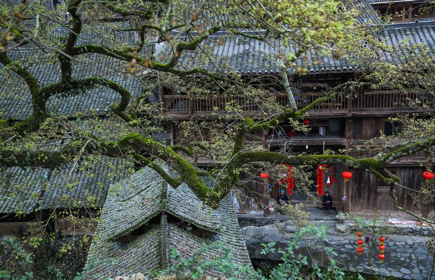 3月18日拍摄的黔东南州榕江县栽麻镇大利侗寨一角。