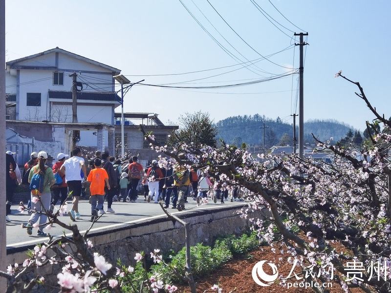參與者在桃花盛開的鄉間小道歡樂開跑。人民網 王秀芳攝
