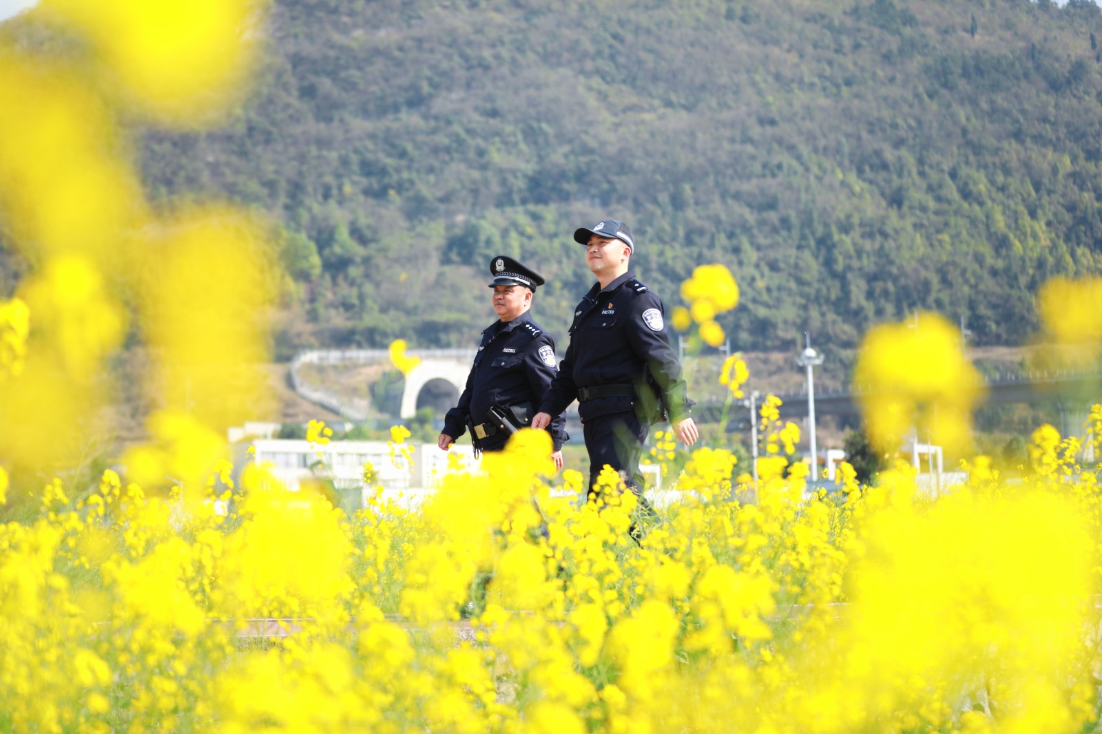 觀山湖公安分局朱昌派出所民警與村裡的森防隊員在花海裡巡邏。