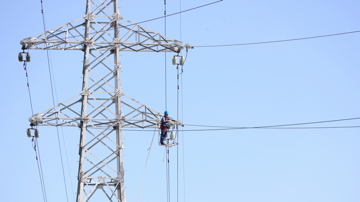 龍福剛在位於山嶺叢林間的輸電線路鐵塔上開展巡視檢修工作。