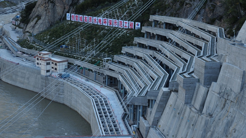 4.西藏DG水电站智慧鱼道