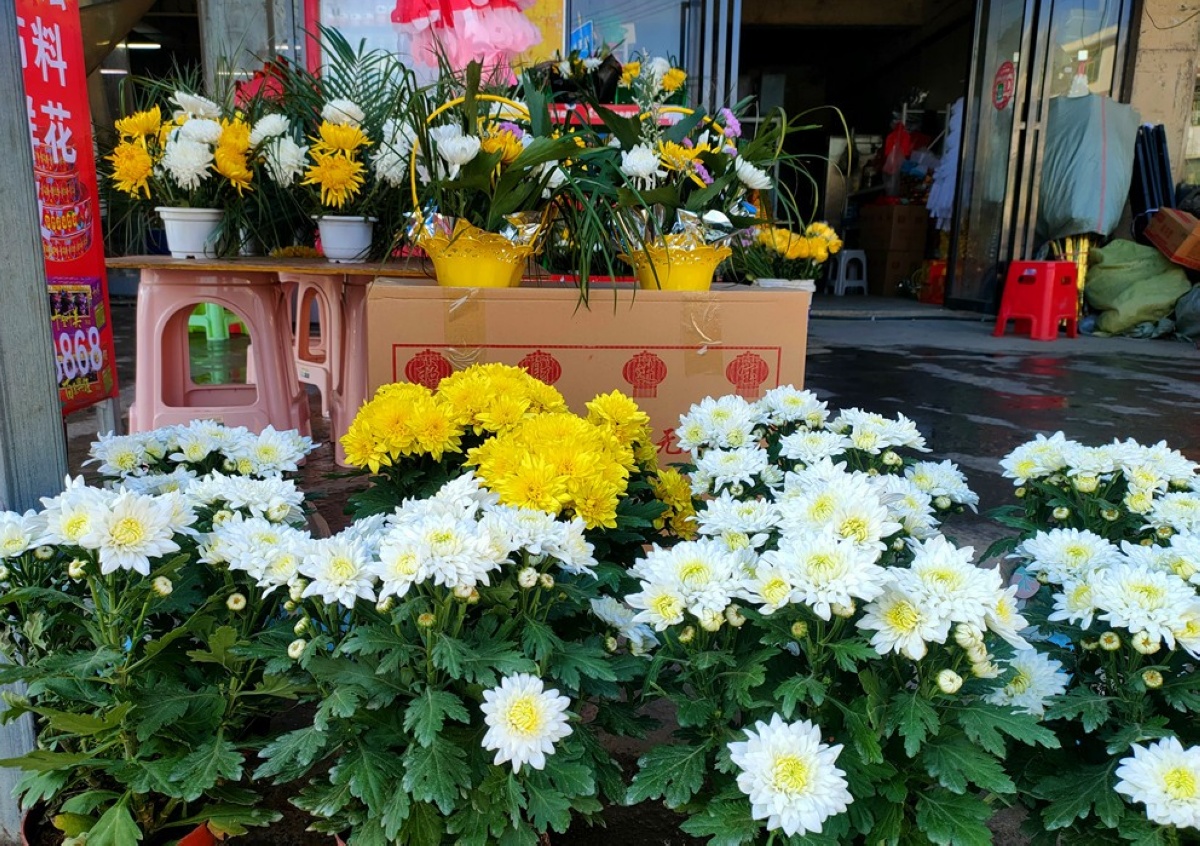  Flower baskets and potted plants placed at the sales points at the intersection of Maixi Expressway jpg