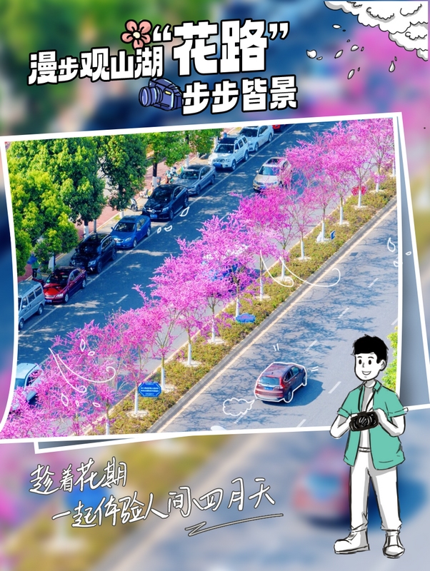 3、漫步观山湖“花路 ”， 步步皆景。