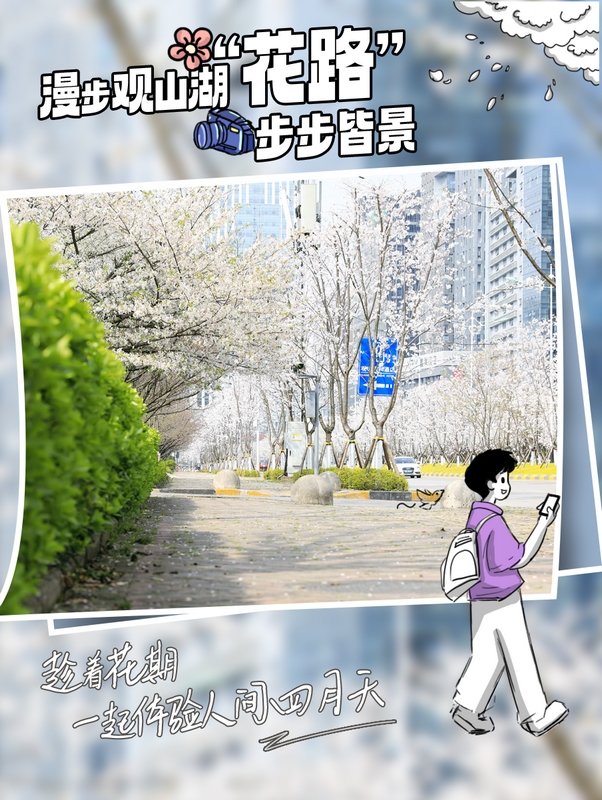 4、漫步观山湖“花路 ”， 步步皆景。