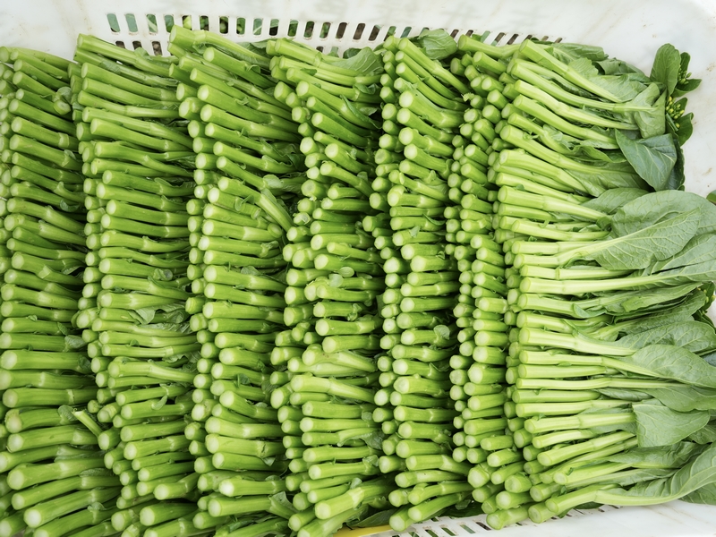 菜心。