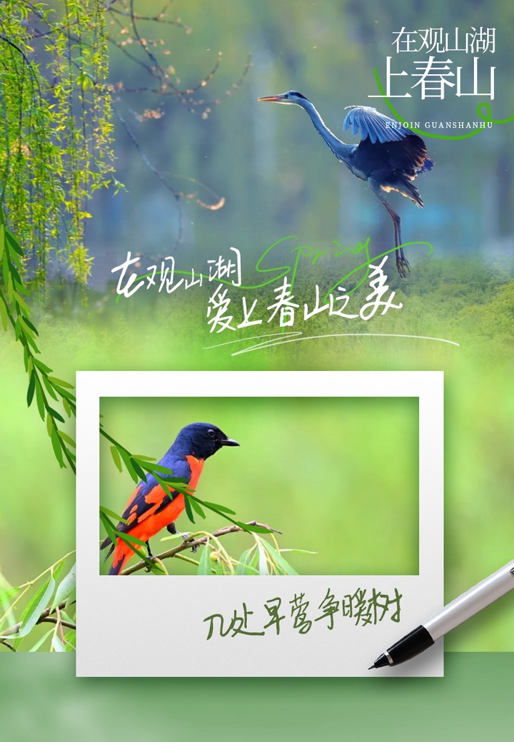 在观山湖，爱上春山之美【2】