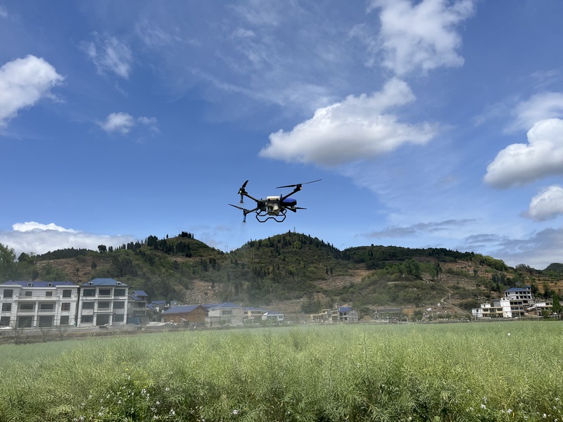 技術員操作植保無人機進行病虫害防治作業。