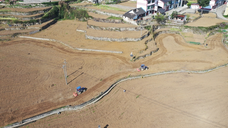 4、大坝镇簸箕坝村高粱基地机械化播种 。