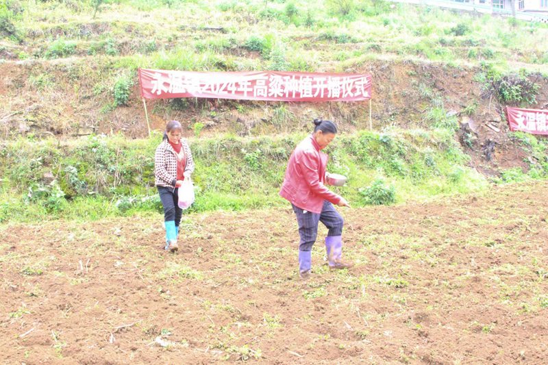 图为：施肥播种