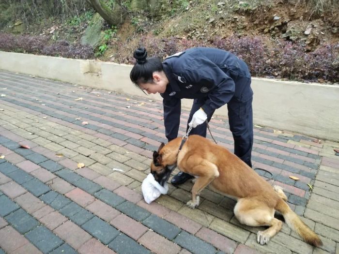 警犬尋人。