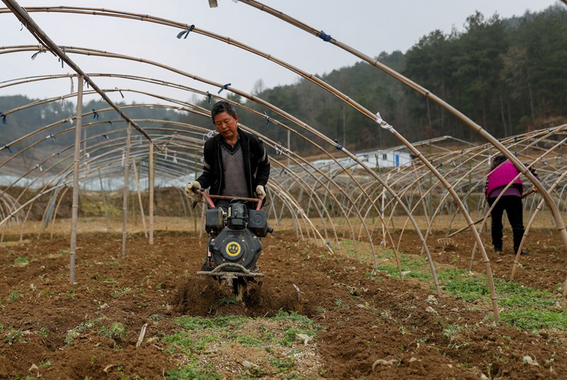 图为：村民在贵州省开阳县云开街道石头村西瓜种植基地里劳作。 (2)