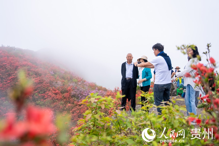 游客在山顶打卡拍照。人民网记者 涂敏摄