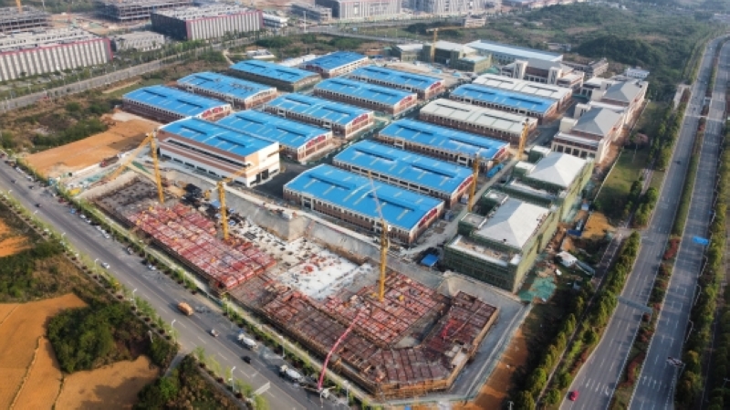 项目主体施工阶段。