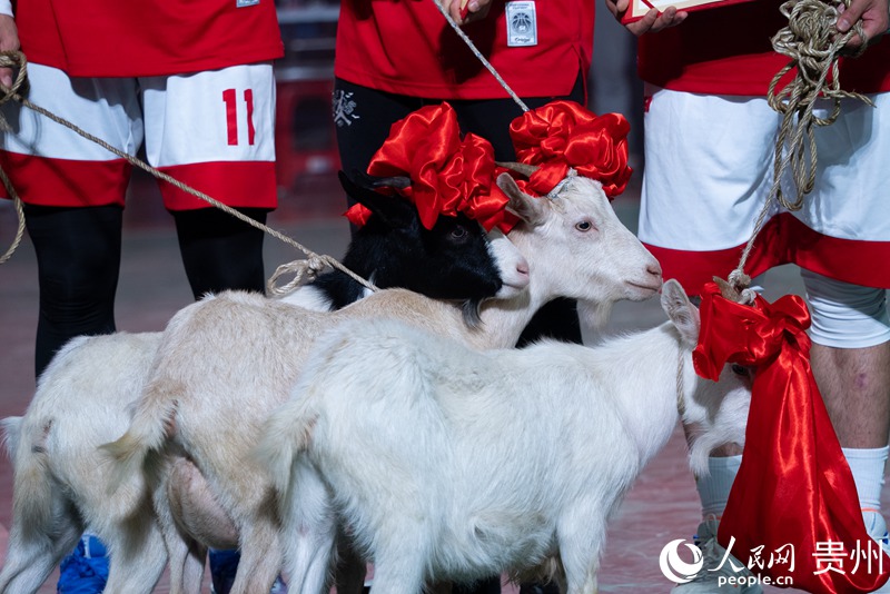 13 比賽獎品之一的榕江香羊。人民網記者 涂敏 攝