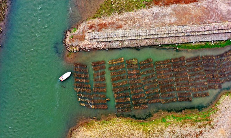 赤水河（習水段）搭建的人工魚巢。習水縣融媒體中心供圖