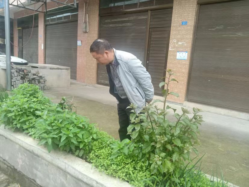 工作人员检查群众房前花坛内是否种植罂粟。