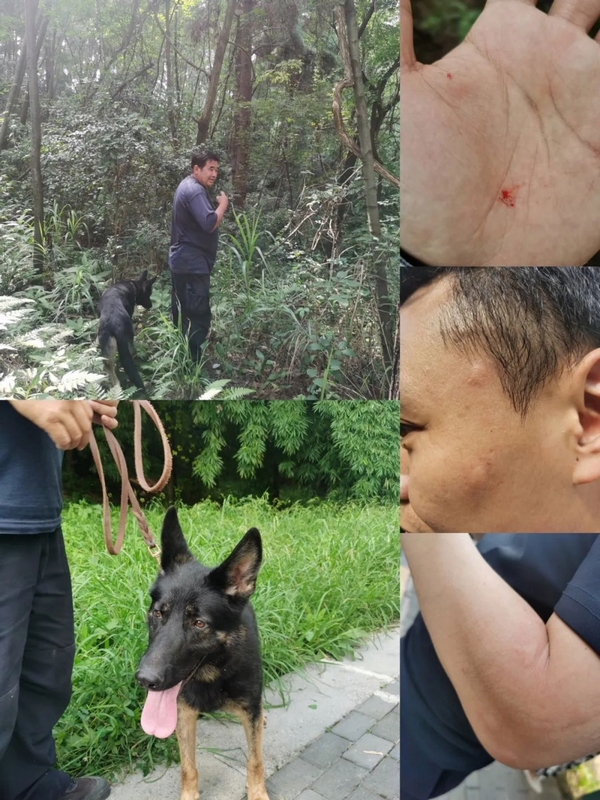 民警在山中搜尋嫌疑人身影。