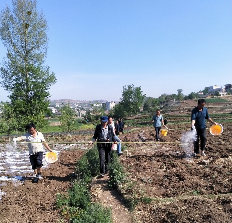 组织村民规划泉山村产业路路线。马敏江摄