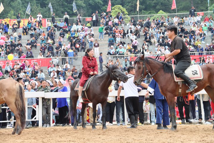 游客體驗騎馬。