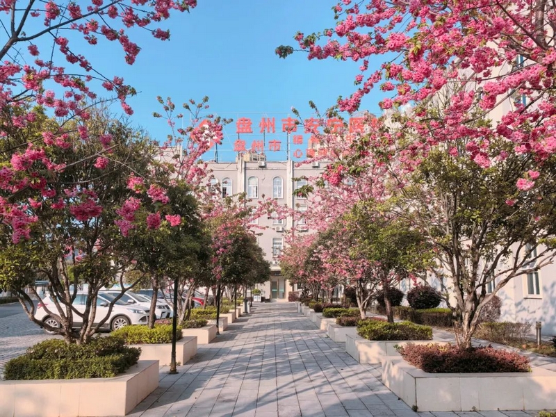 盘州市安宁医院。