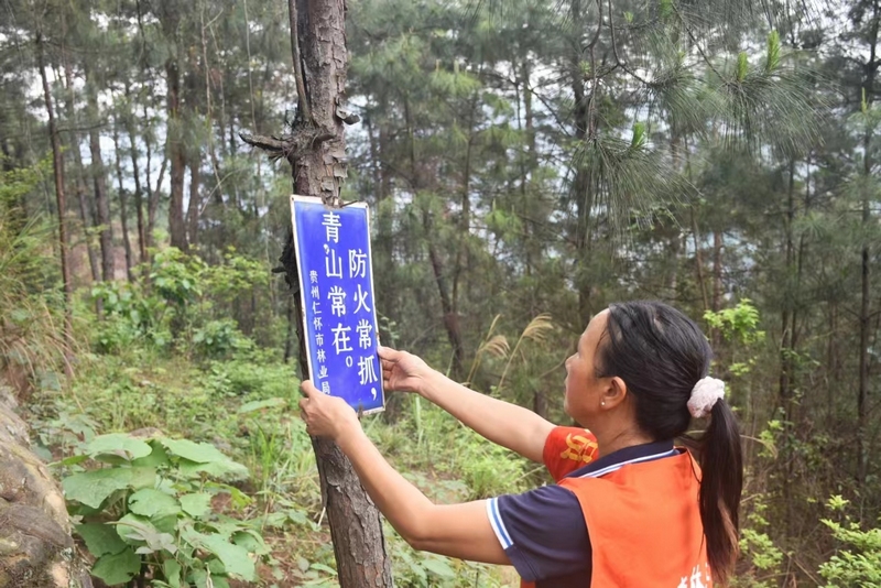 2 “生态卫士”罗美：守护青山巾帼志 续写两代护林情