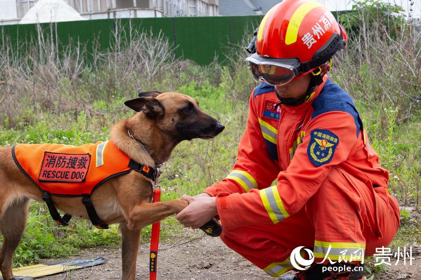 消防员与搜救犬开展项目前进行准备工作。人民网记者 高华摄