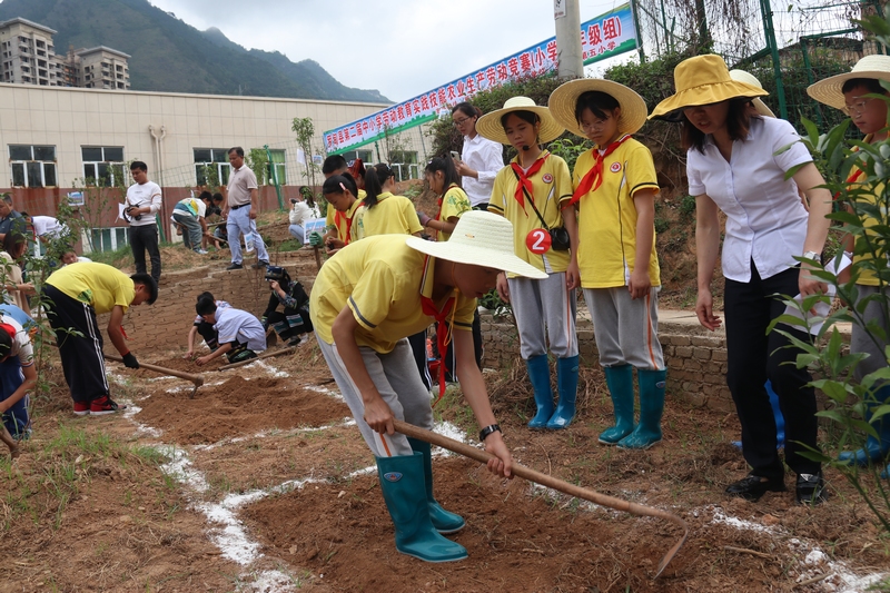 农业生产劳动比赛现场学生们正在翻土、栽种、浇水