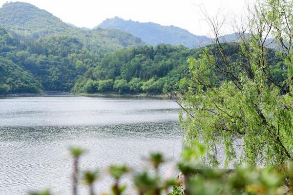 5、竹韵民宿依山傍水，风景优美。