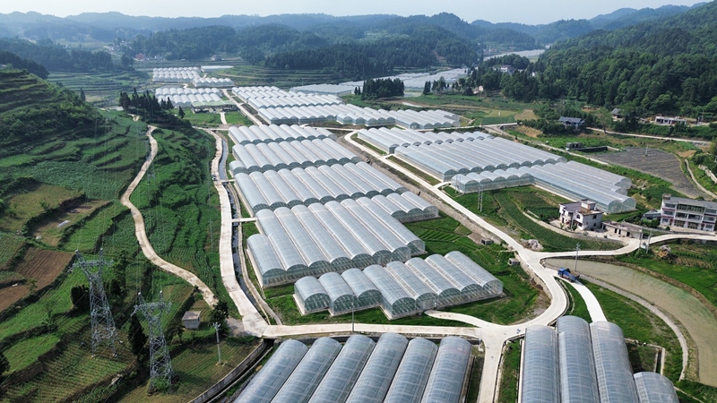 图为：基地全景