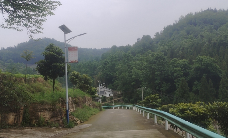 (3)油菜村干坝组路灯安装实景。