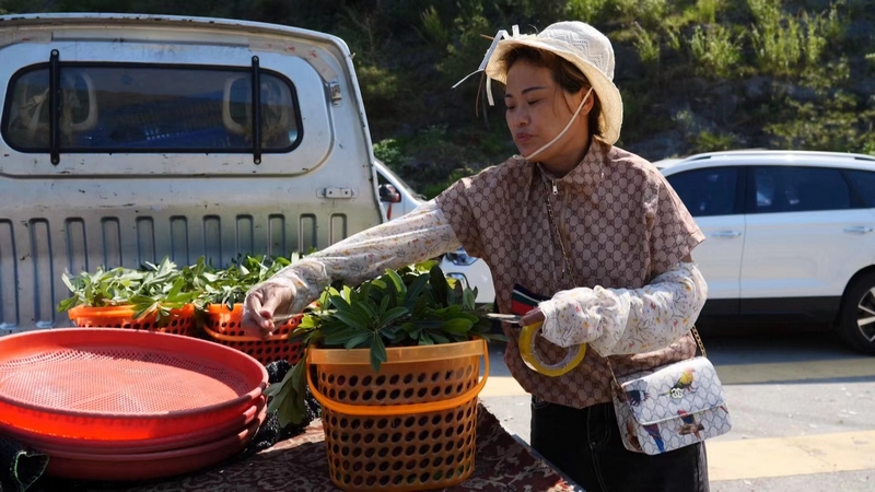 杨梅装车准备发往贵阳销售