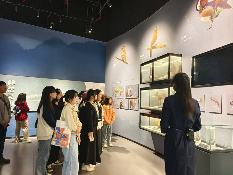 2、活动现场。