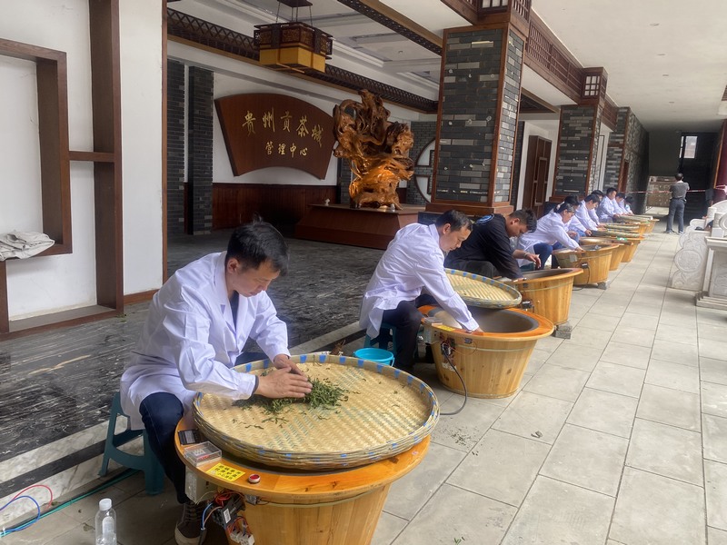 手工制茶选拔赛现场。金莎摄