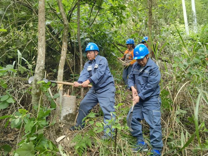 南方電網工作人員清理供電線路下的樹木。望謨供電局供圖
