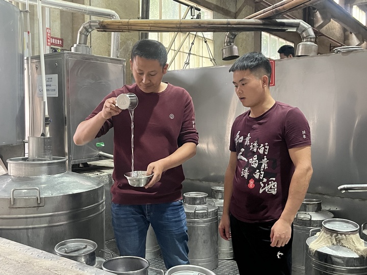 6、酣客君丰酒业有限公司生产部正在查看出酒的四轮次酒品质。