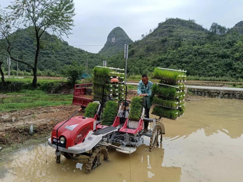 水稻机插秧助农减负增收。