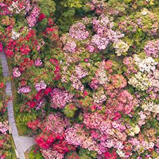 毕节篇