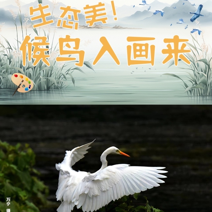 娄山观·冬游季 | 贵州：生态美！ 候鸟入画来