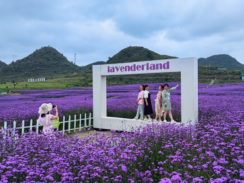 1、游客在高坡花海合影 張夢雪攝