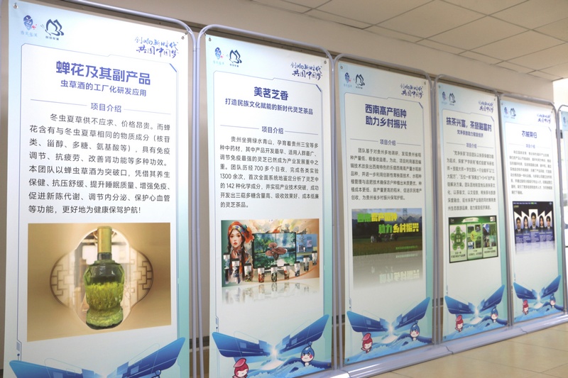 活动现场。江枫摄