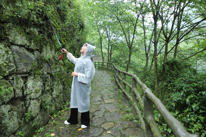 陈宪忠介绍海龙屯的城墙保护。顾兰云摄
