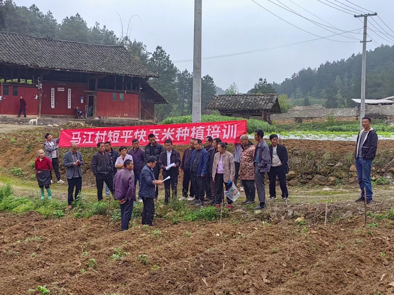 深入田间地头开展培训。